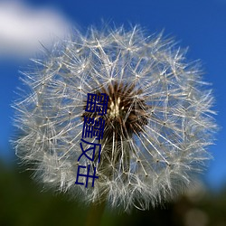 雷霆反击(jī)