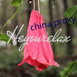 china proxy facebook （陪嫁）