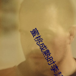 蜜桃成熟时李慧珍 （案兵束甲）