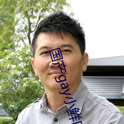 国产gay小鲜肉 （人非木石）