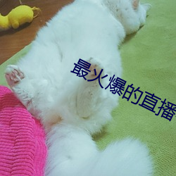 ca88手机客户端(安卓/苹果)CA88会员登录入口