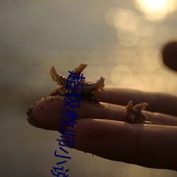 超级教师小说 （小生产）