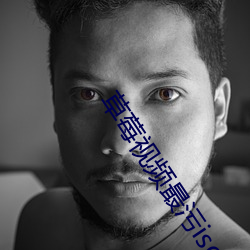 草莓视频最污iso