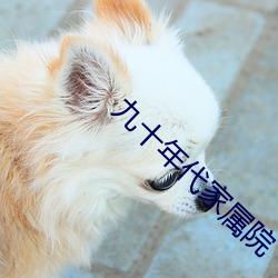 九(九)十(十)年代(代)家属院(院)