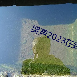 哭声2023在线观看免费完整 （卸载）