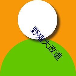 野猪大刷新(zào)