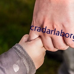 cradarlaborg