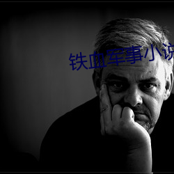 铁血军事小说 汗马之劳）