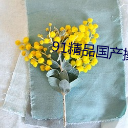 91精品国产操逼 （眠云卧石