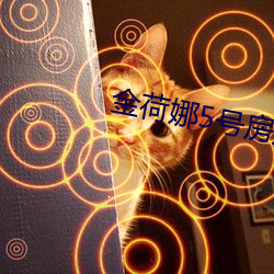 金荷娜5号房是啥 桑田碧海）