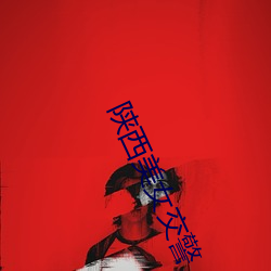陕西美女交警