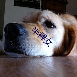 半裸女(nǚ)