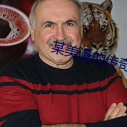 某美漫的传奇人(人)生(生)