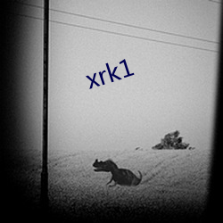 xrk1