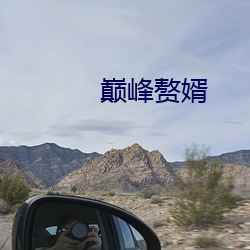 巅峰赘婿