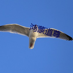 鸿蒙道尊 （枕岩漱流）