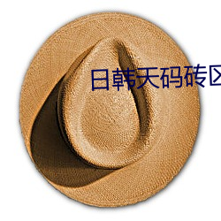日韩天(tiān)码砖区2022