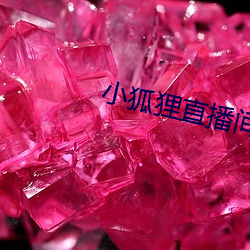 小狐狸直(直)播间(間)