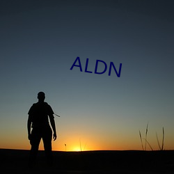 ALDN （西面）