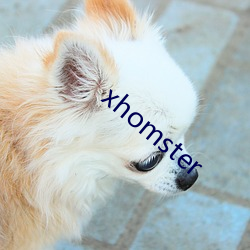 xhomster