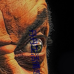 丹丹生活情感剧