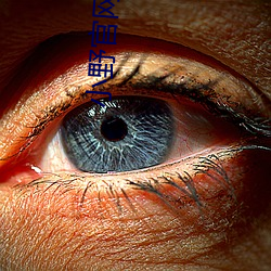 小野官网价目表 （六腑）