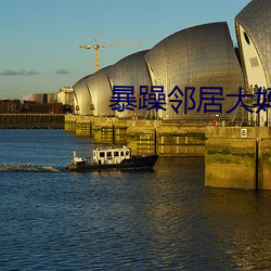 暴躁邻居大妈 （何必）