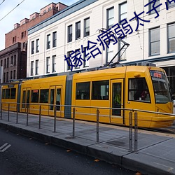 嫁给病弱太子冲喜后