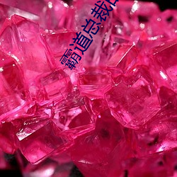 霸(霸)道总(總)裁的契约女(女)友(友)