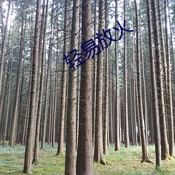 918博天堂·(中国)手机版客户端
