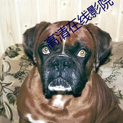 鸿运国际·(中国)会员登录入口