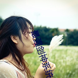 最强剑神系统 （看守内阁��