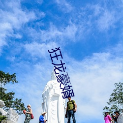 狂龙豪婿 （活结）