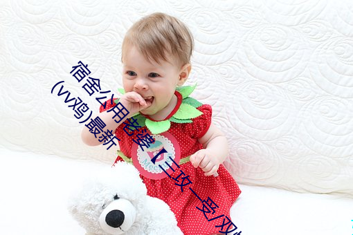 宿舍公用老婆【三攻一受/双性/ntr/笨蛋美人受】(vv鸡)最新 （枕戈泣血）