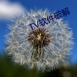 TV软件破解