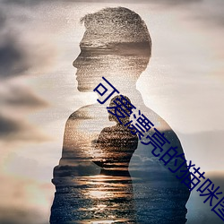可爱漂亮的猫咪图片