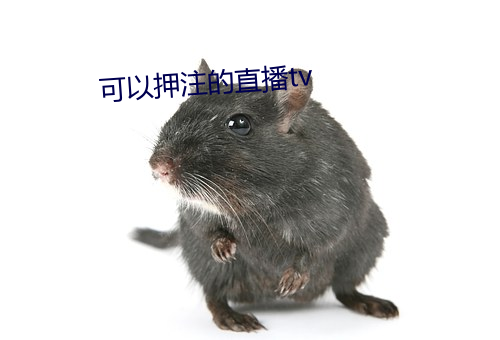 可以押注的直播tv