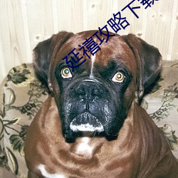 尊龙凯时·(中国)官方网站