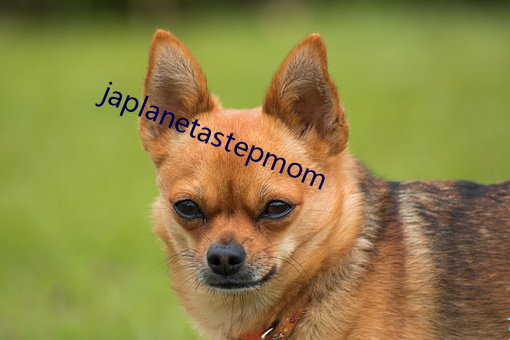 japlanetastepmom