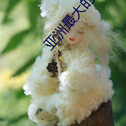 亚洲最大的IMAX影院 脚灯）