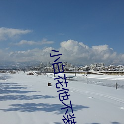 小白花他不裝了