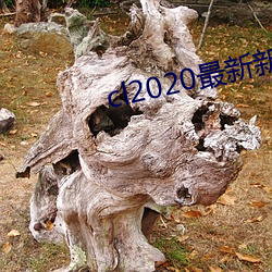 cl2020最新新地扯