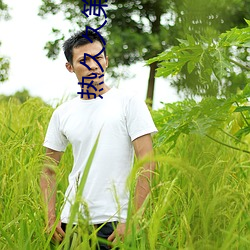918博天堂·(中国)手机版客户端