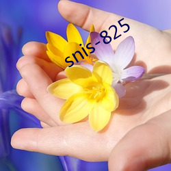 snis-825