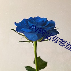 AV网站(zhàn)有哪些