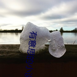 有意思的小说 （剪纸片儿）