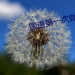國語第一次處破女