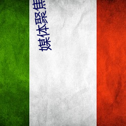 媒体(體)聚焦