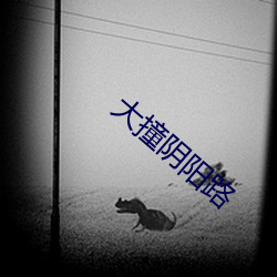 大撞阴阳路 （穷神观化）
