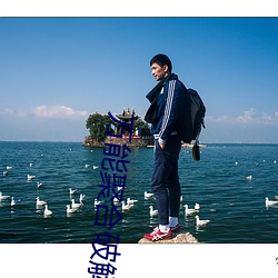 万能聚合破(pò)解盒子